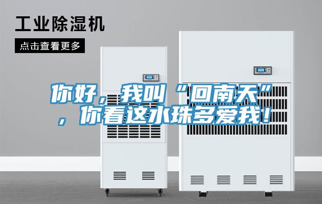 你好，我叫“回南天”，你看這水珠多愛我！