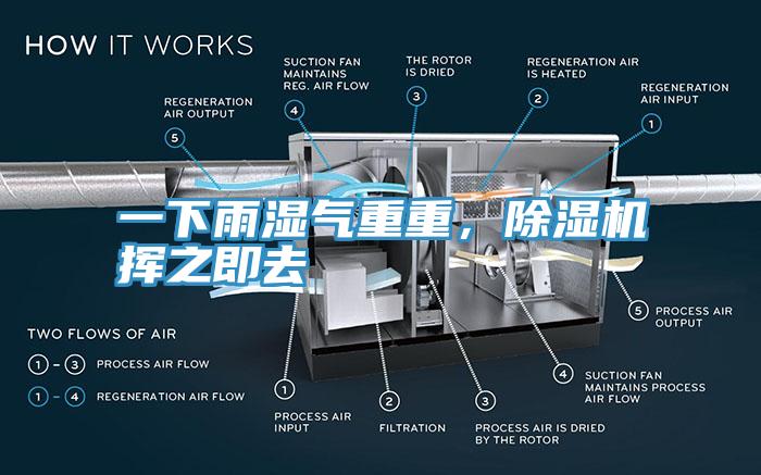 一下雨濕氣重重，除濕機揮之即去