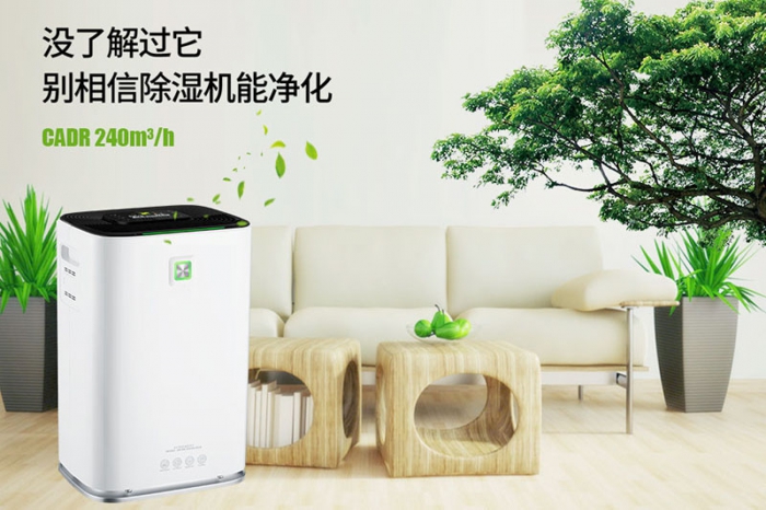 一到回南天狗狗就感冒+皮膚病，怎么辦？