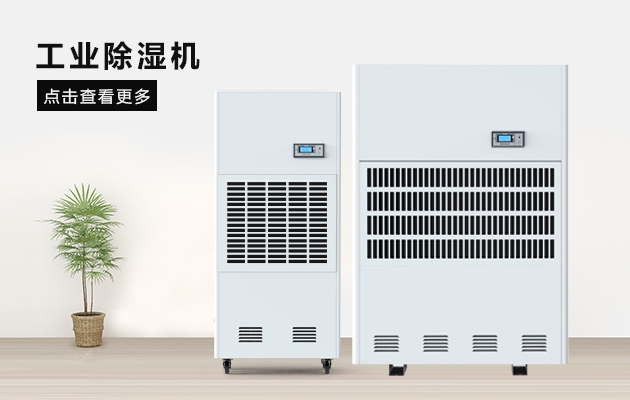 三八節送媽媽的禮物，選這款安詩曼除濕器就對了