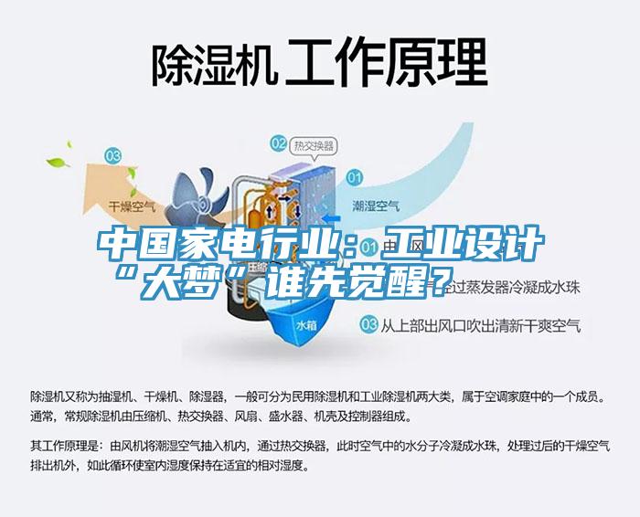 中國(guó)家電行業(yè)：工業(yè)設(shè)計(jì)“大夢(mèng)”誰(shuí)先覺醒？