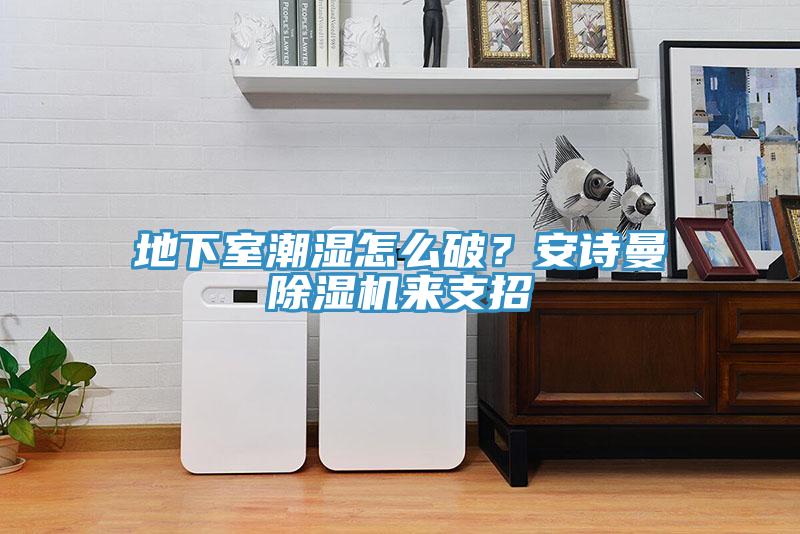 地下室潮濕怎么破？安詩(shī)曼除濕機(jī)來支招