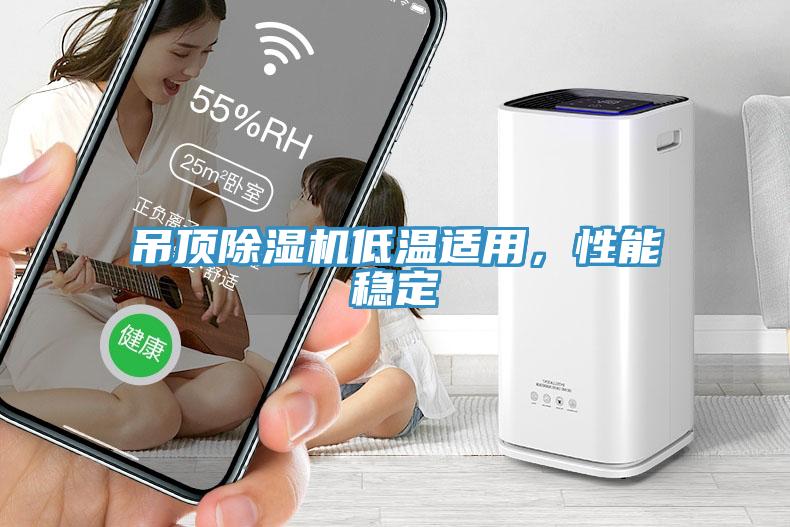 吊頂除濕機低溫適用，性能穩定