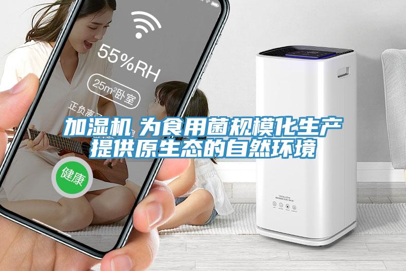 加濕機　為食用菌規(guī)模化生產(chǎn)提供原生態(tài)的自然環(huán)境