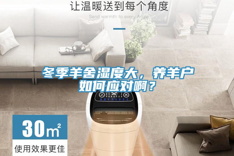冬季羊舍濕度大，養(yǎng)羊戶如何應(yīng)對(duì)啊？