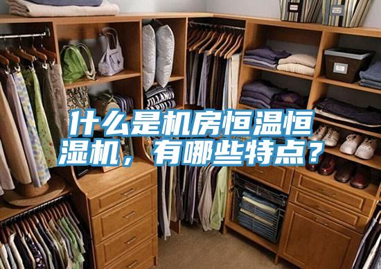 什么是機(jī)房恒溫恒濕機(jī)，有哪些特點(diǎn)？
