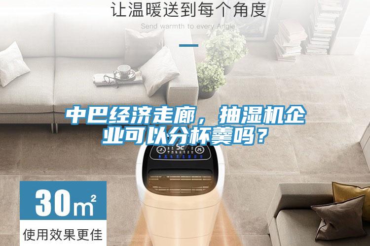 中巴經濟走廊，抽濕機企業可以分杯羹嗎？