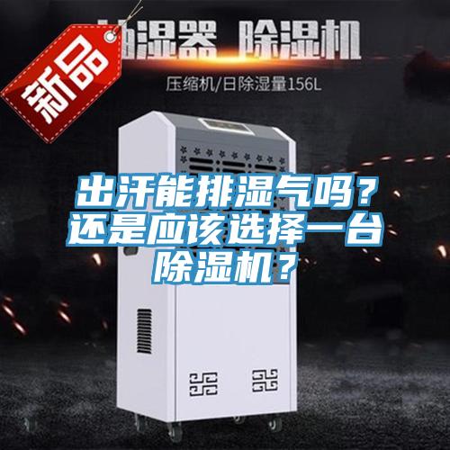 出汗能排濕氣嗎？還是應該選擇一臺除濕機？