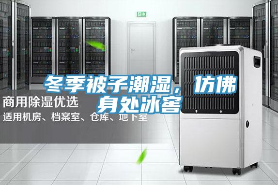冬季被子潮濕，仿佛身處冰窖
