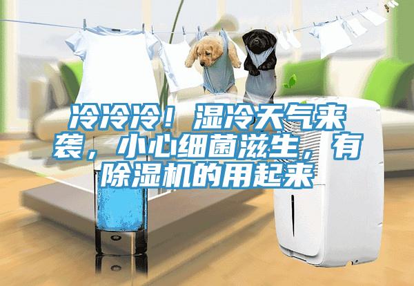 冷冷冷！濕冷天氣來襲，小心細(xì)菌滋生，有除濕機(jī)的用起來