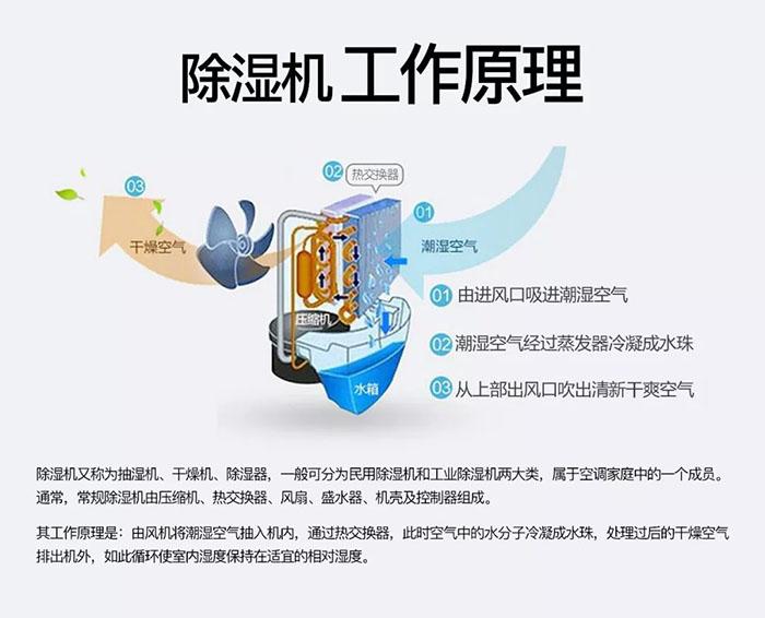 南方濕冷會致病你知道嗎？