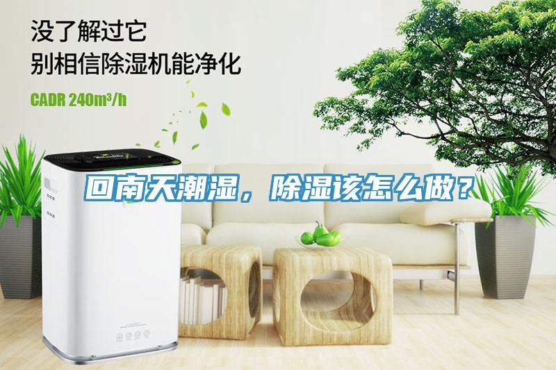 回南天潮濕，除濕該怎么做？