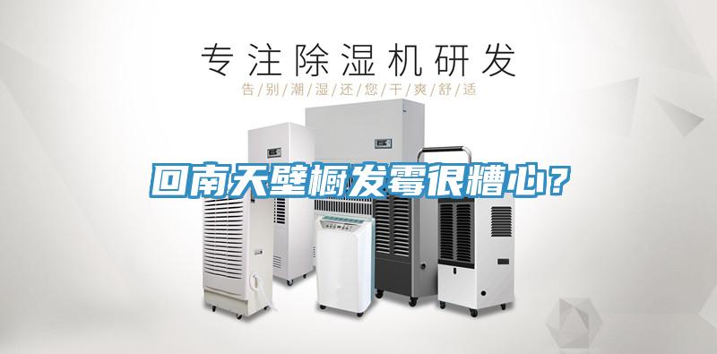 回南天壁櫥發霉很糟心？