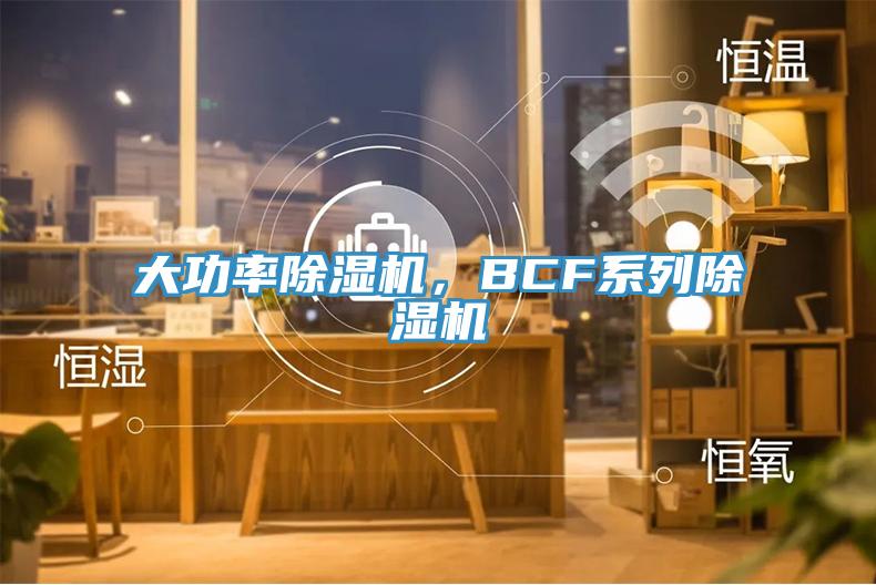 大功率除濕機，BCF系列除濕機