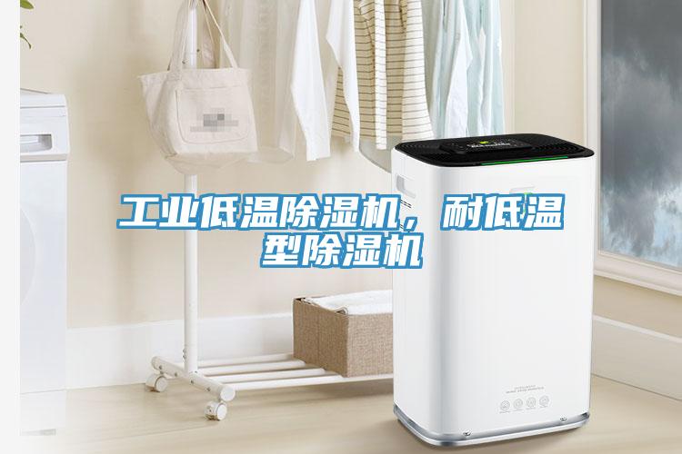 工業(yè)低溫除濕機，耐低溫型除濕機