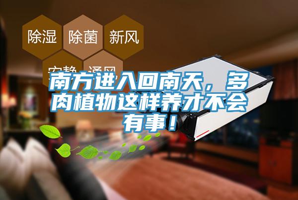 南方進入回南天，多肉植物這樣養才不會有事！