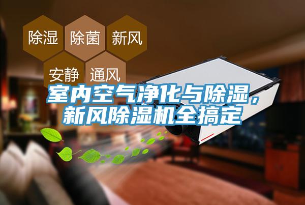室內(nèi)空氣凈化與除濕，新風(fēng)除濕機(jī)全搞定
