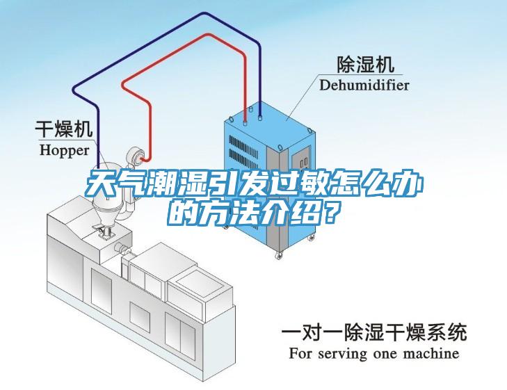 天氣潮濕引發過敏怎么辦的方法介紹？