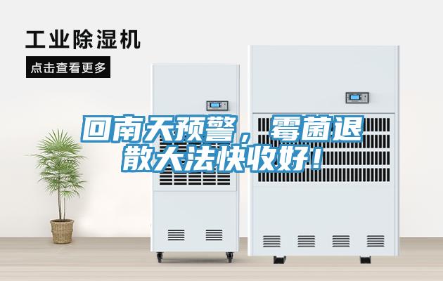 回南天預警，霉菌退散大法快收好！