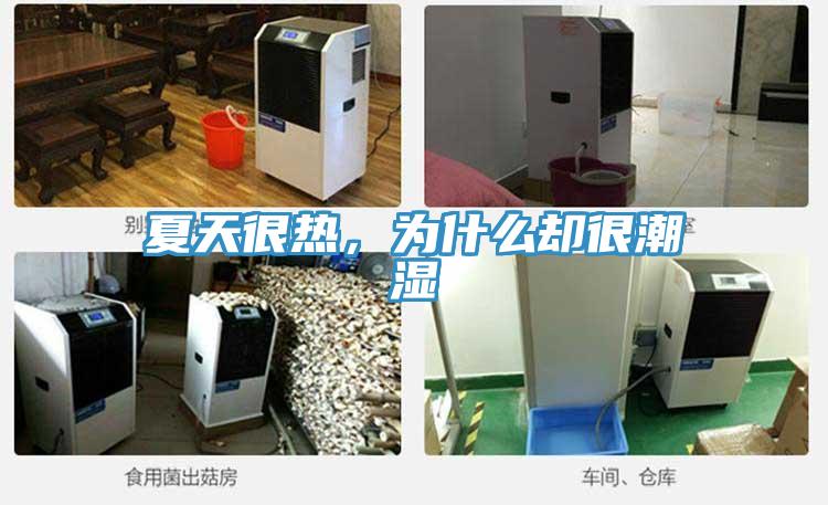 夏天很熱，為什么卻很潮濕