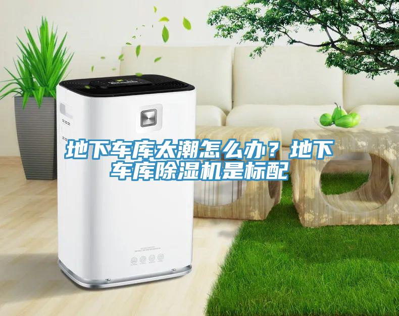地下車(chē)庫(kù)太潮怎么辦？地下車(chē)庫(kù)除濕機(jī)是標(biāo)配