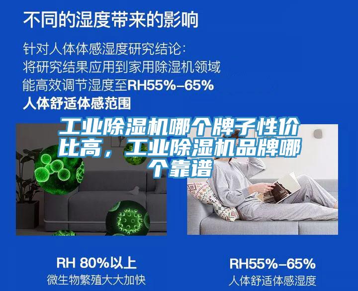 工業除濕機哪個牌子性價比高，工業除濕機品牌哪個靠譜