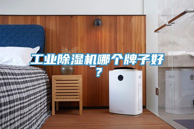 工業除濕機哪個牌子好？