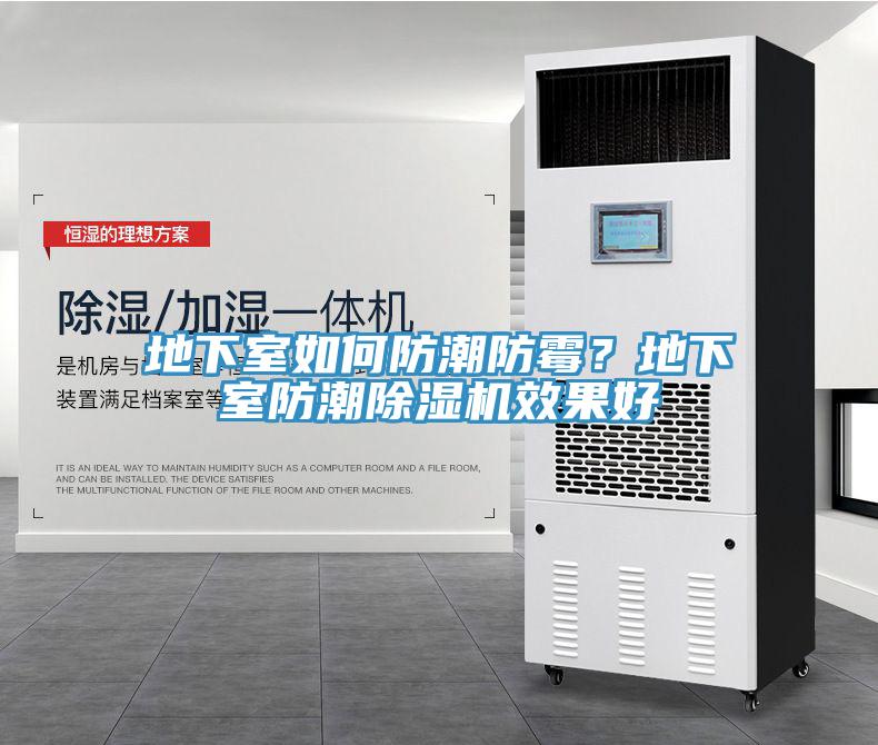 地下室如何防潮防霉？地下室防潮除濕機(jī)效果好