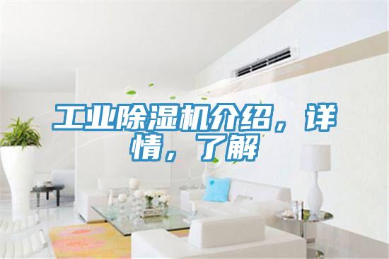 工業(yè)除濕機(jī)介紹，詳情，了解