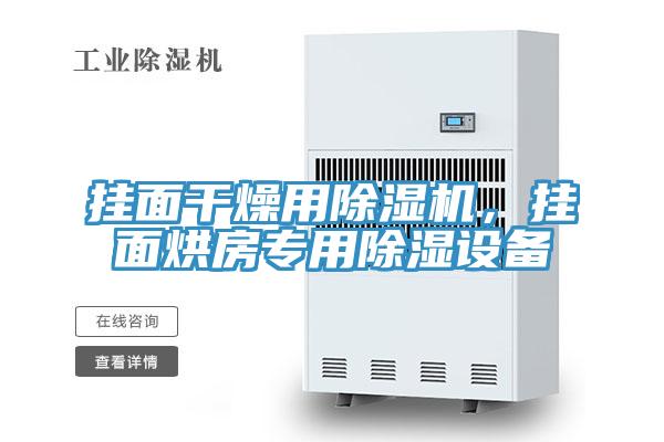 掛面干燥用除濕機，掛面烘房專用除濕設備
