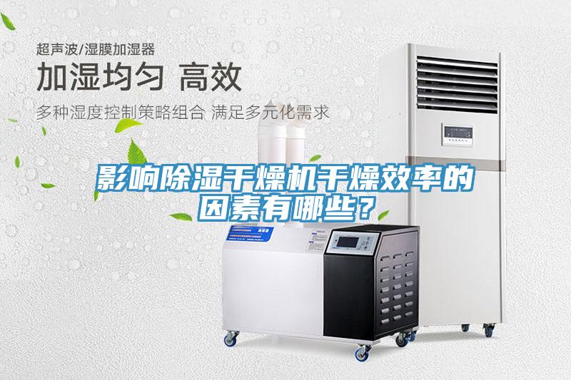 影響除濕干燥機干燥效率的因素有哪些？
