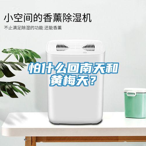 怕什么回南天和黃梅天？