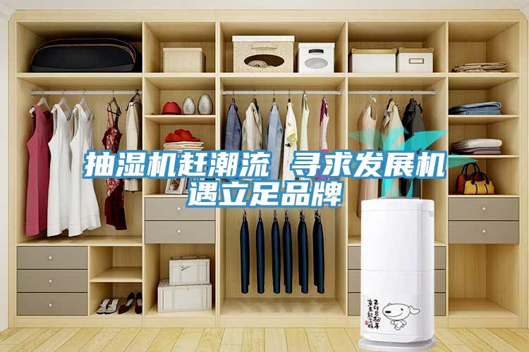 抽濕機趕潮流 尋求發展機遇立足品牌