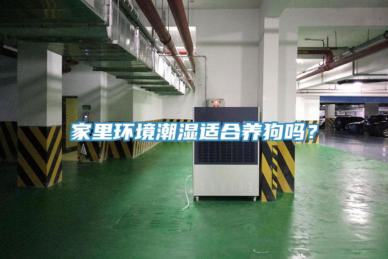 家里環境潮濕適合養狗嗎？