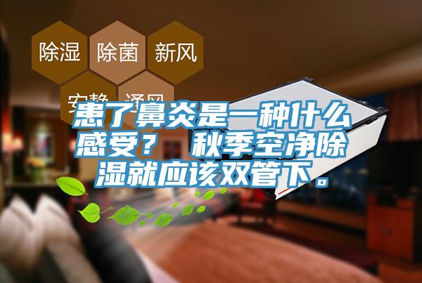 患了鼻炎是一種什么感受？ 秋季空凈除濕就應該雙管下。
