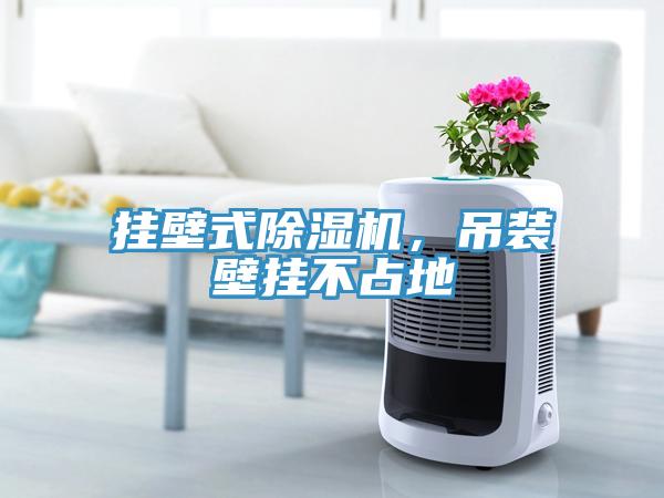 掛壁式除濕機，吊裝壁掛不占地