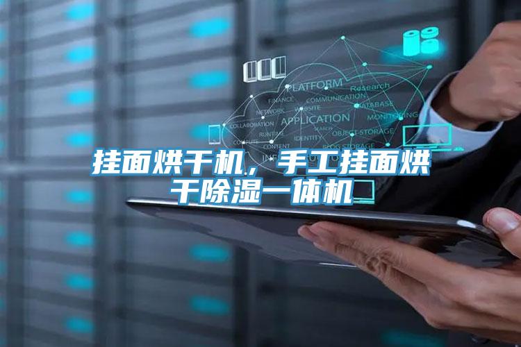 掛面烘干機，手工掛面烘干除濕一體機