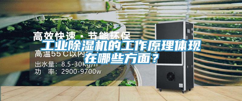 工業除濕機的工作原理體現在哪些方面？
