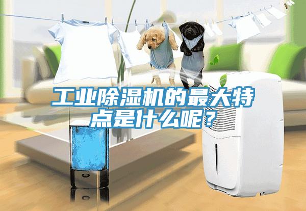 工業除濕機的最大特點是什么呢？