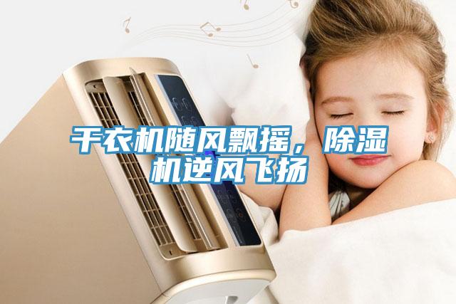 干衣機隨風飄搖，除濕機逆風飛揚
