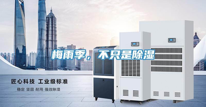 梅雨季，不只是除濕