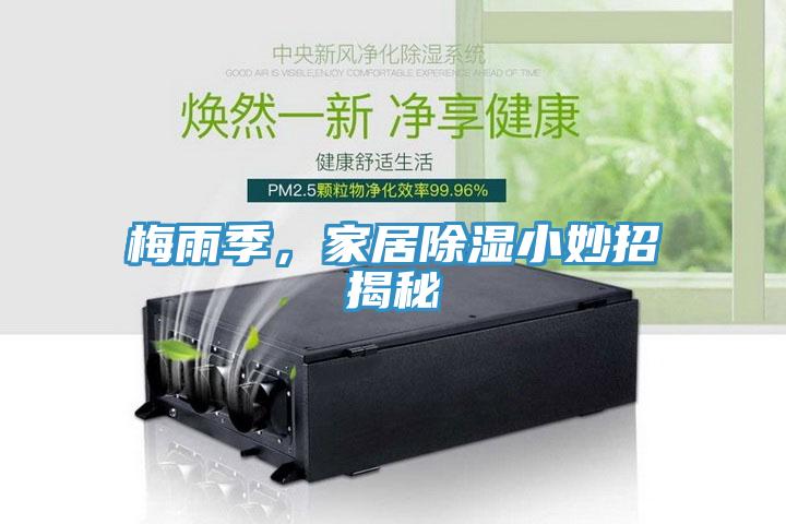 梅雨季，家居除濕小妙招揭秘