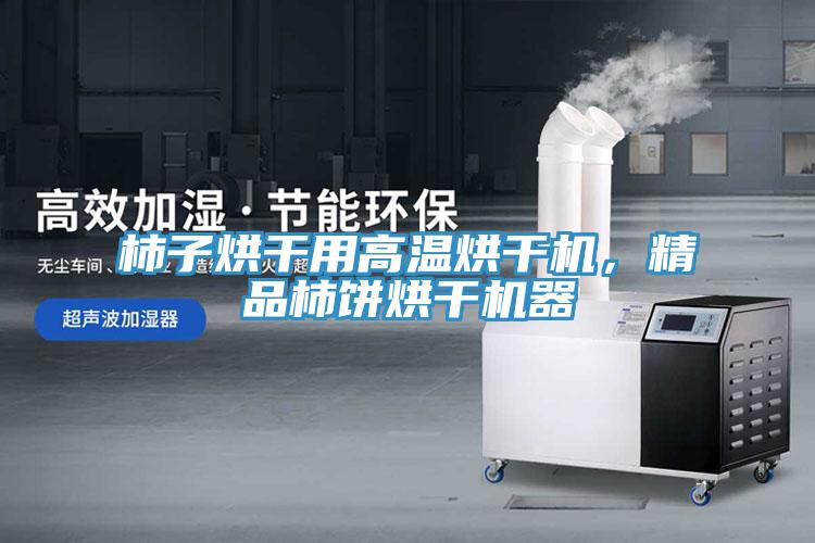 柿子烘干用高溫烘干機(jī),精品柿餅烘干機(jī)器