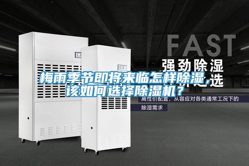 梅雨季節即將來臨怎樣除濕，該如何選擇除濕機？