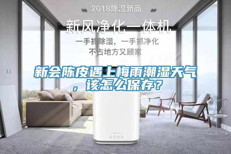 新會陳皮遇上梅雨潮濕天氣，該怎么保存？
