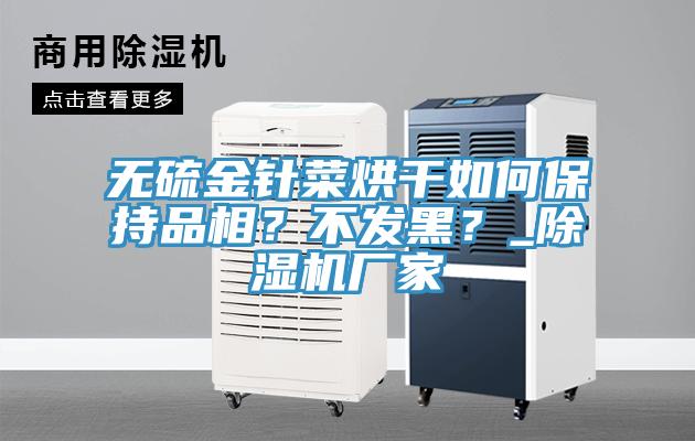 無硫金針菜烘干如何保持品相？不發黑？_除濕機廠家