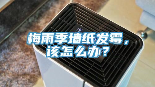 梅雨季墻紙發霉，該怎么辦？
