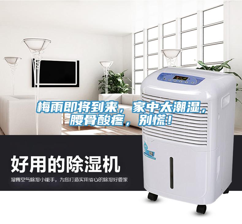 梅雨即將到來(lái)，家中太潮濕，腰骨酸疼，別慌！