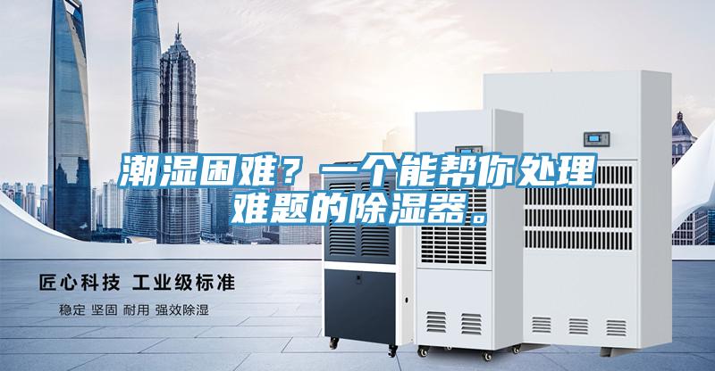 潮濕困難？一個能幫你處理難題的除濕器。