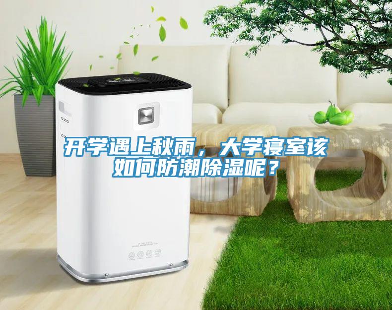 開學遇上秋雨，大學寢室該如何防潮除濕呢？